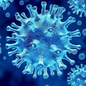 COVID-19 Protocol